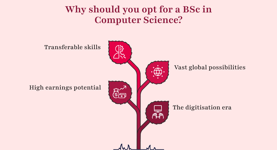 Why should you opt for a BSc in Computer Science?