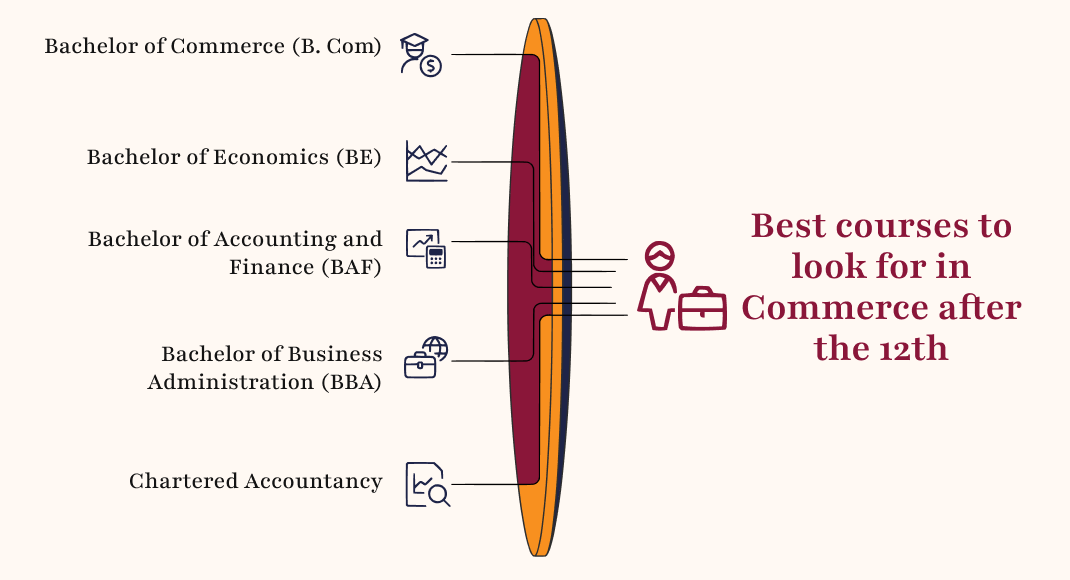 Best courses to look for in Commerce after the 12th
