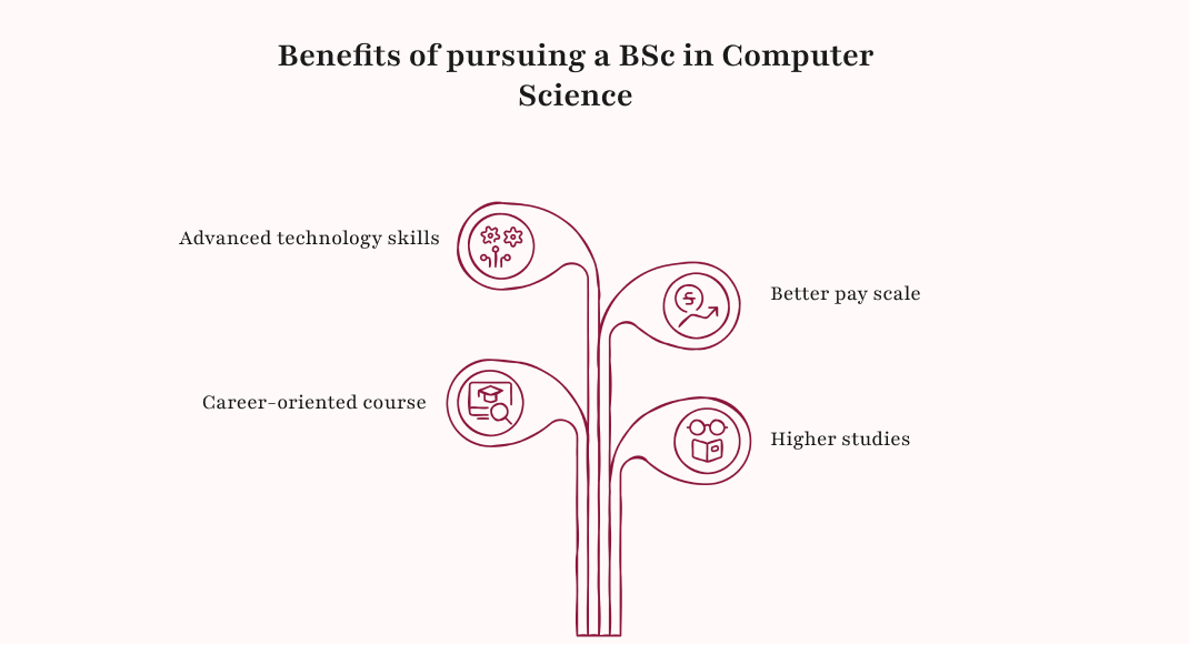 Benefits of pursuing a BSc in Computer Science