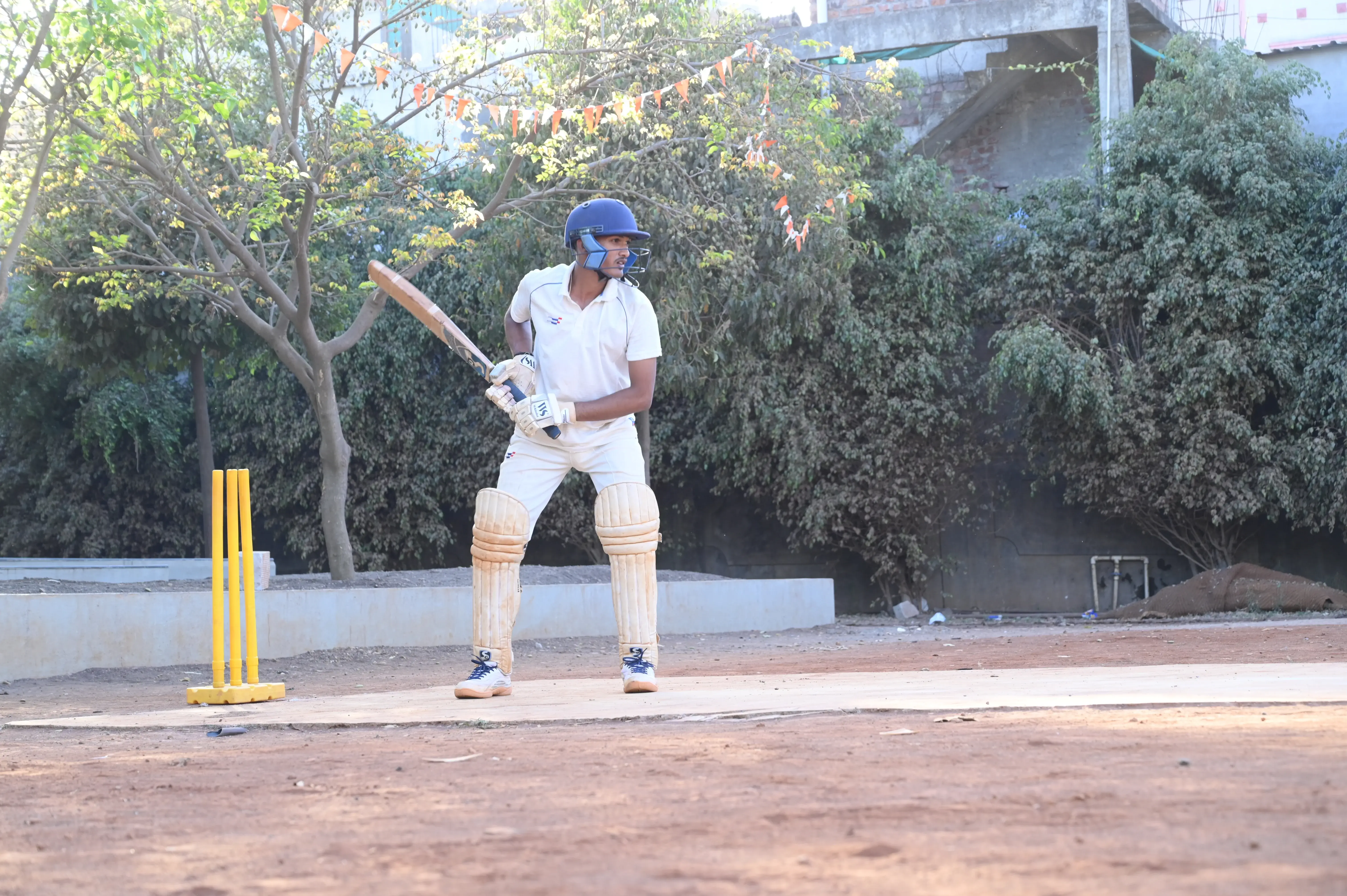 Cricket
